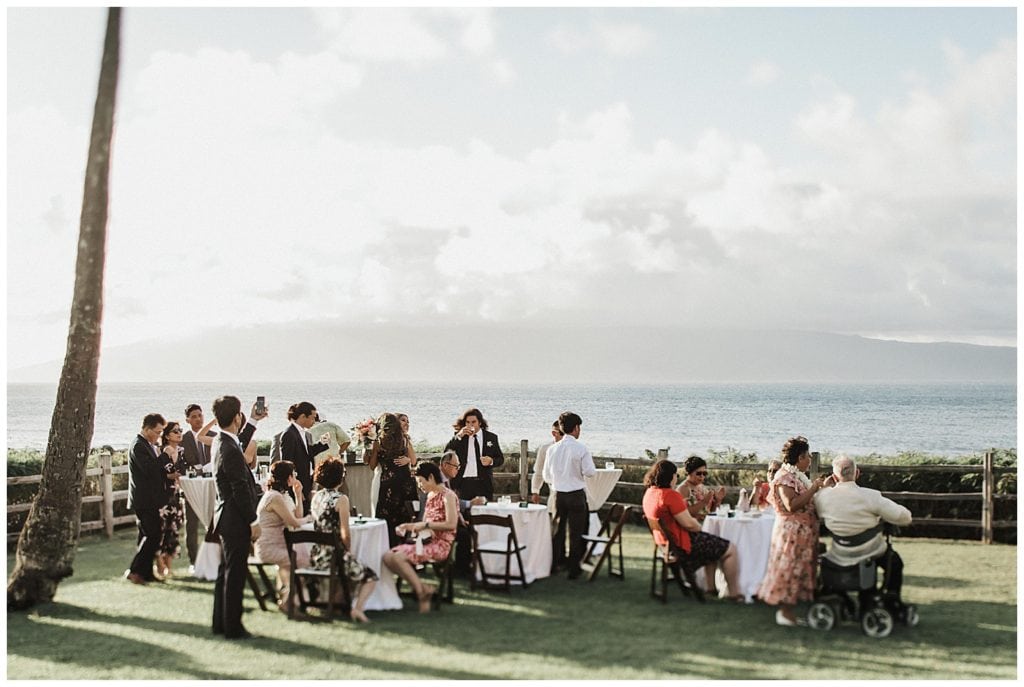 Hawaii Photographer - Montage Kapalua Wedding