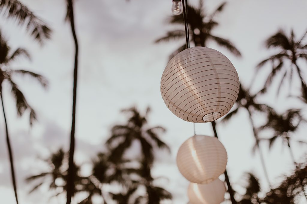 Lanterns hanging in the air with palm trees