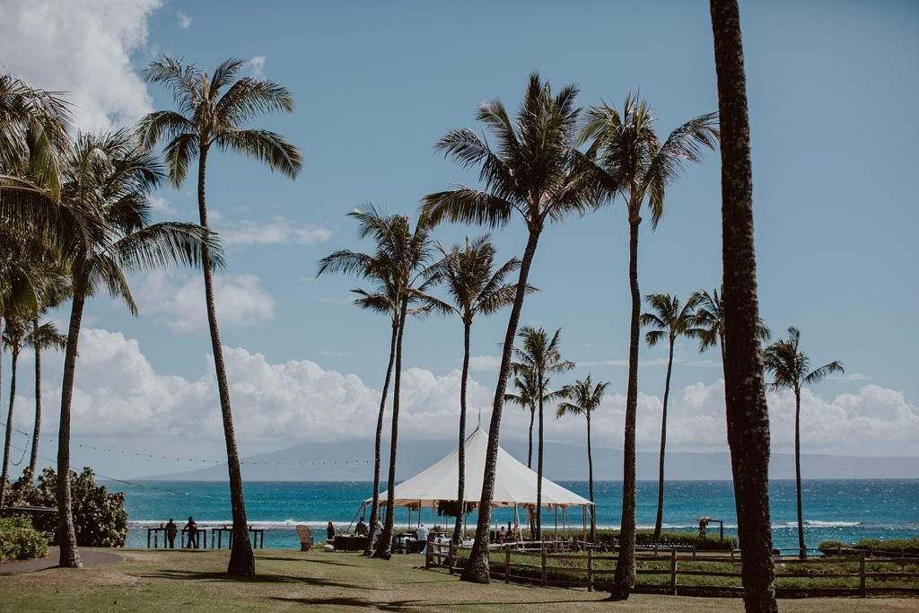 Detail shot of tall palm trees with bright blue ocean with white tent setup