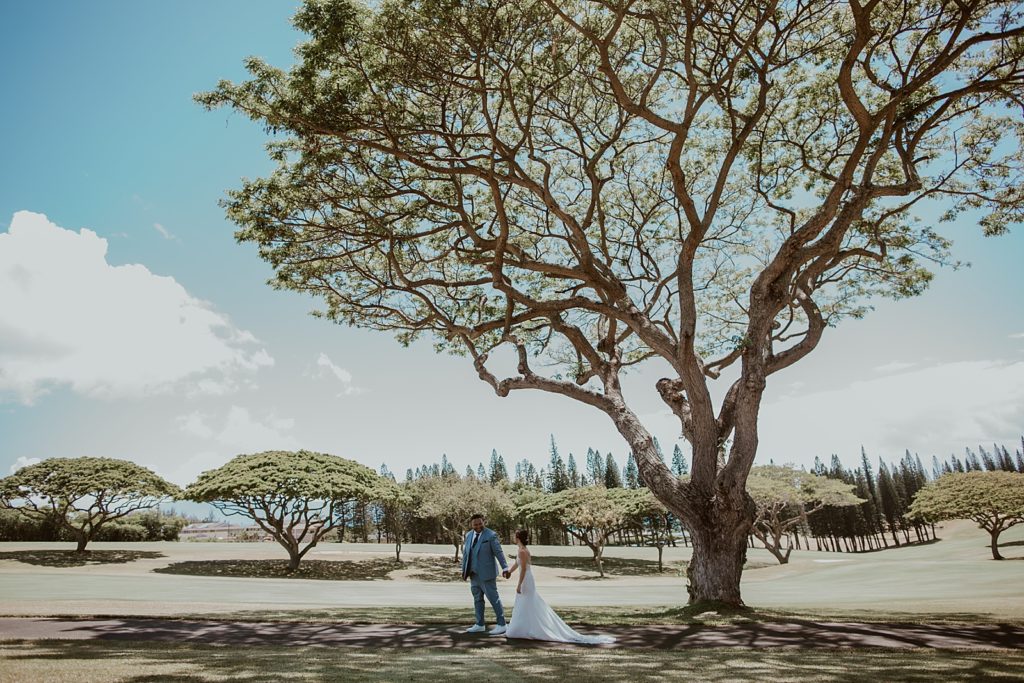 Wide shot of Bride and Groom holding hands by big tree
