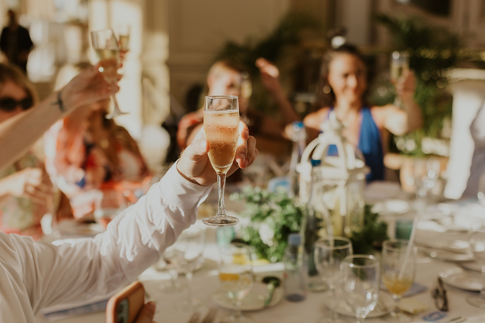 Guests holding up Champaign for toast at Reception