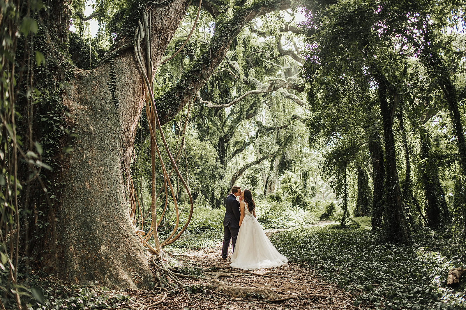 Bride and Groom kissing in green forest by large tree