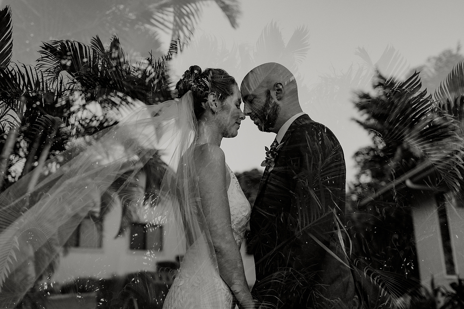 B&W pic of Bride and Groom touching noses with overlay of palm trees
