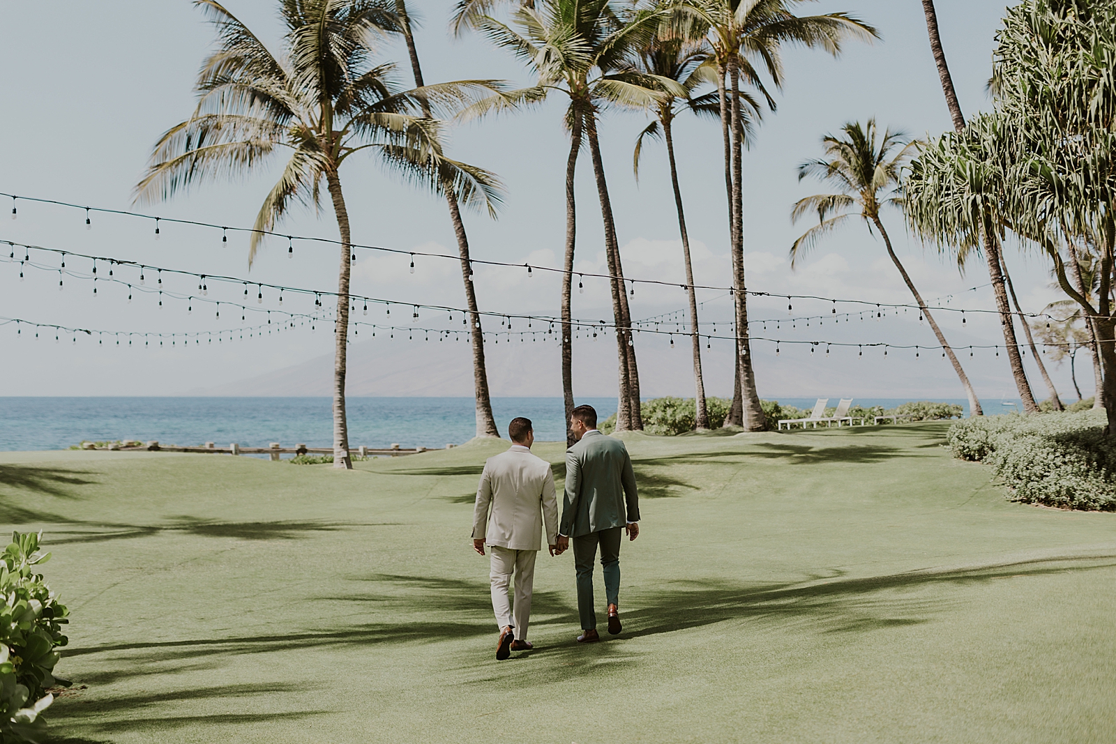 Grooms holding hands and walking on greenery with tall palm trees in front of them